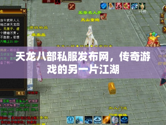 天龙八部私服发布网，传奇游戏的另一片江湖