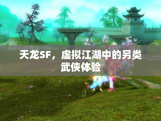 天龙SF，虚拟江湖中的另类武侠体验