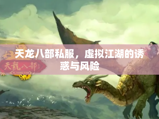 天龙八部私服，虚拟江湖的诱惑与风险