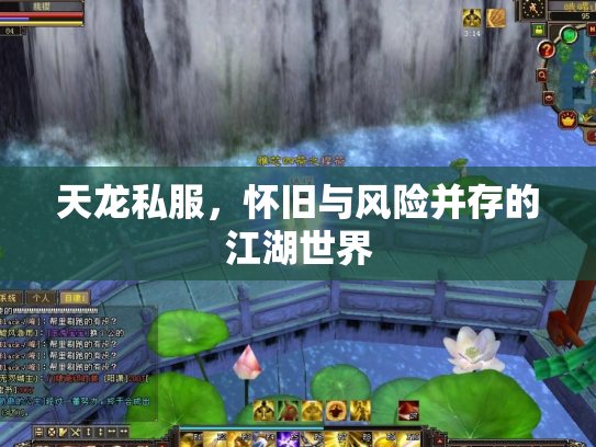 天龙私服，怀旧与风险并存的江湖世界