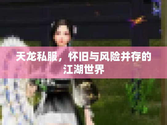 天龙私服，怀旧与风险并存的江湖世界
