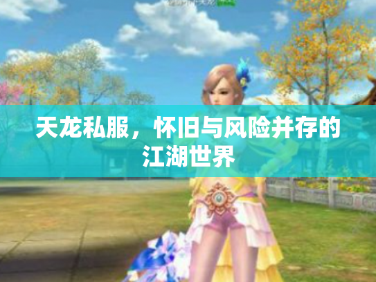 天龙私服，怀旧与风险并存的江湖世界