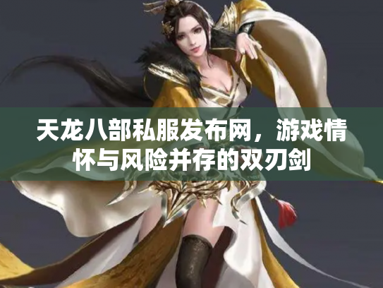 天龙八部私服发布网，游戏情怀与风险并存的双刃剑