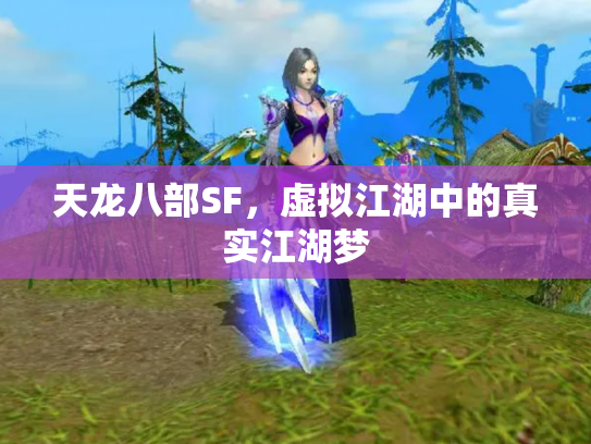 天龙八部SF，虚拟江湖中的真实江湖梦