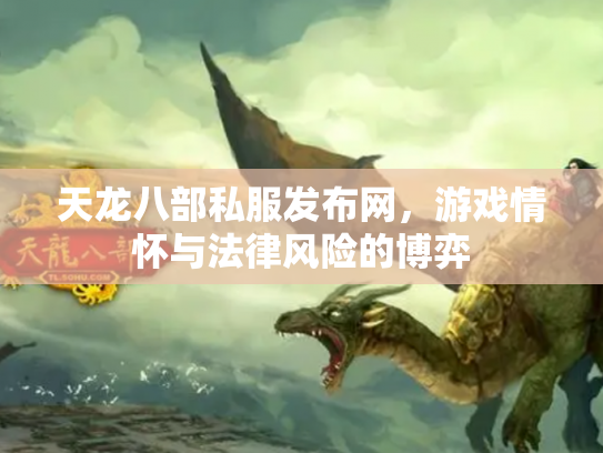 天龙八部私服发布网，游戏情怀与法律风险的博弈