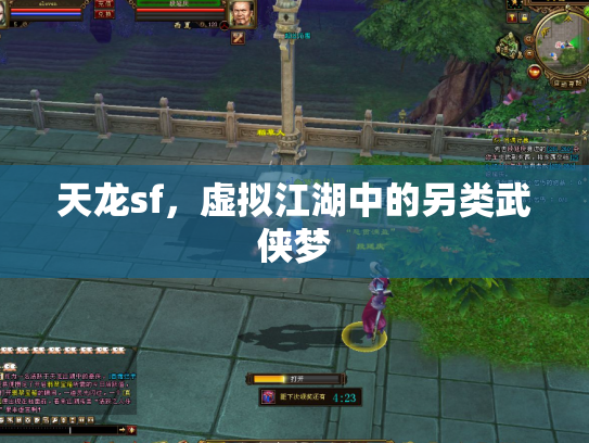 天龙sf，虚拟江湖中的另类武侠梦