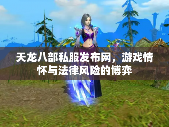 天龙八部私服发布网，游戏情怀与法律风险的博弈