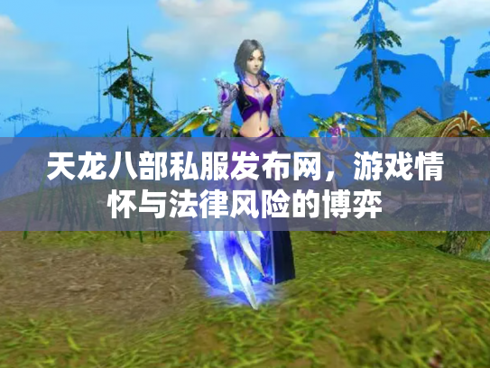 天龙八部私服发布网，游戏情怀与法律风险的博弈