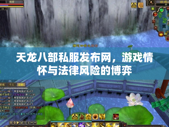 天龙八部私服发布网，游戏情怀与法律风险的博弈