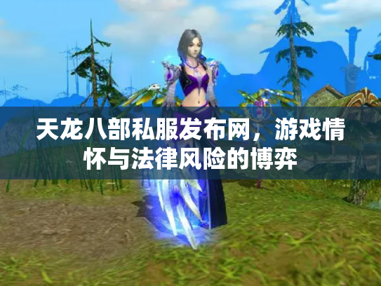 天龙八部私服发布网，游戏情怀与法律风险的博弈