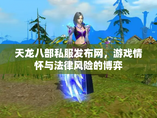 天龙八部私服发布网，游戏情怀与法律风险的博弈