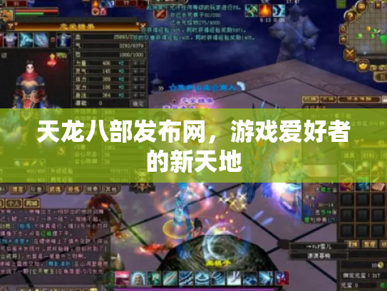 天龙八部发布网，游戏爱好者的新天地