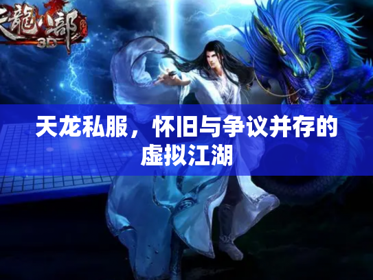 天龙私服，怀旧与争议并存的虚拟江湖