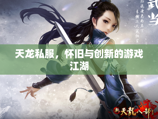 天龙私服，怀旧与创新的游戏江湖