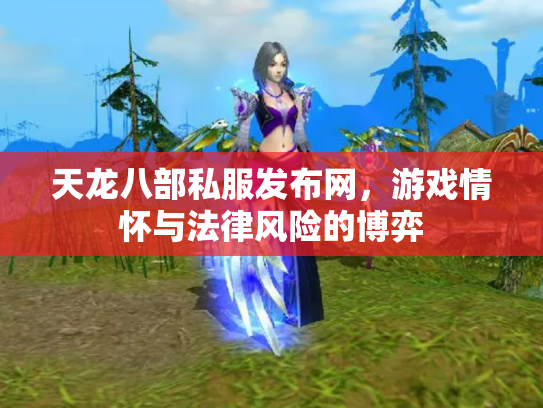 天龙八部私服发布网，游戏情怀与法律风险的博弈