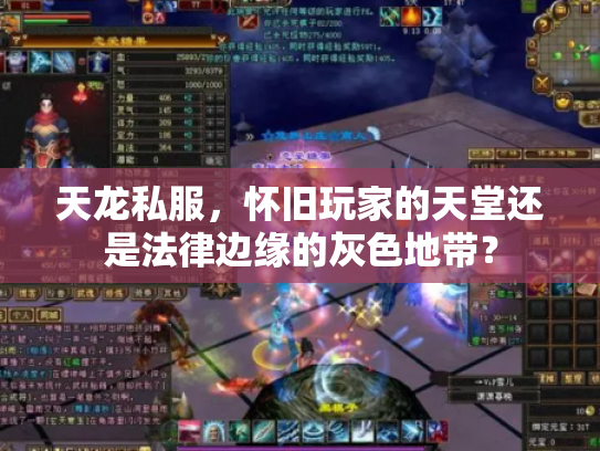 天龙私服，怀旧玩家的天堂还是法律边缘的灰色地带？