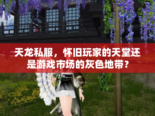天龙私服，怀旧玩家的天堂还是游戏市场的灰色地带？