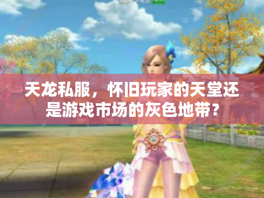 天龙私服，怀旧玩家的天堂还是游戏市场的灰色地带？