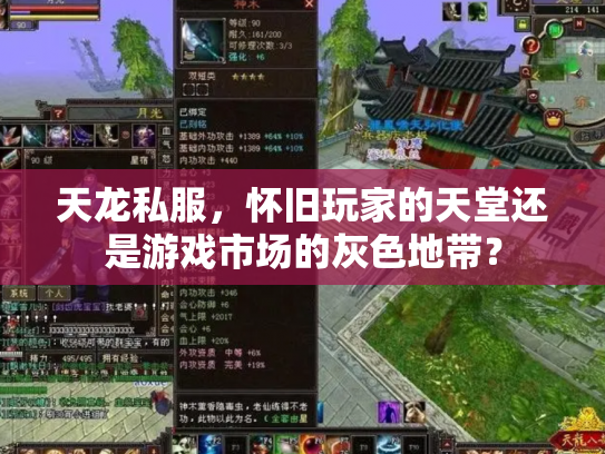 天龙私服，怀旧玩家的天堂还是游戏市场的灰色地带？