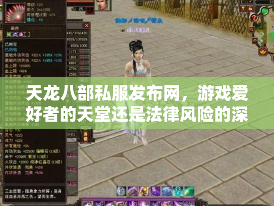 天龙八部私服发布网，游戏爱好者的天堂还是法律风险的深渊？