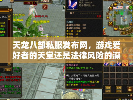 天龙八部私服发布网，游戏爱好者的天堂还是法律风险的深渊？