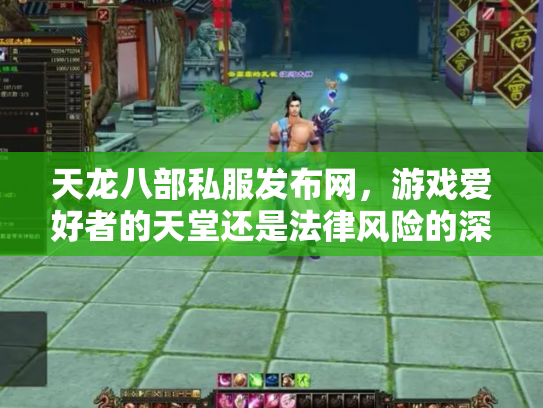 天龙八部私服发布网，游戏爱好者的天堂还是法律风险的深渊？