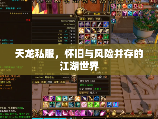 天龙私服，怀旧与风险并存的江湖世界
