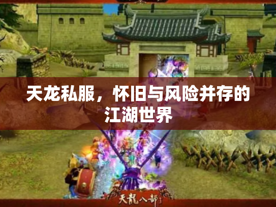 天龙私服，怀旧与风险并存的江湖世界