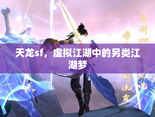 天龙sf，虚拟江湖中的另类江湖梦