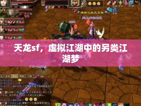 天龙sf，虚拟江湖中的另类江湖梦
