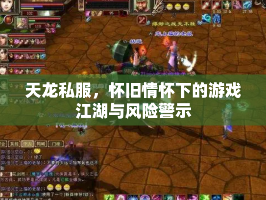 天龙私服，怀旧情怀下的游戏江湖与风险警示