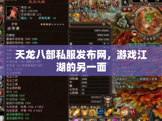 天龙八部私服发布网，游戏江湖的另一面