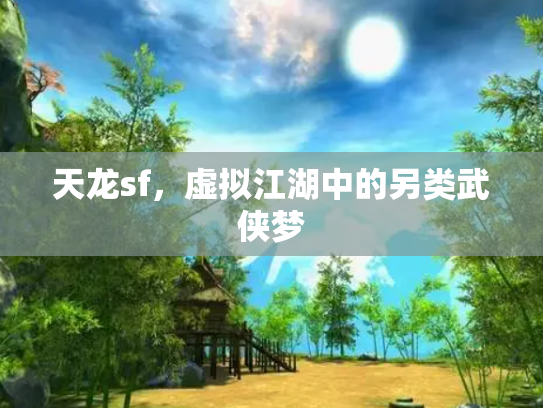 天龙sf，虚拟江湖中的另类武侠梦