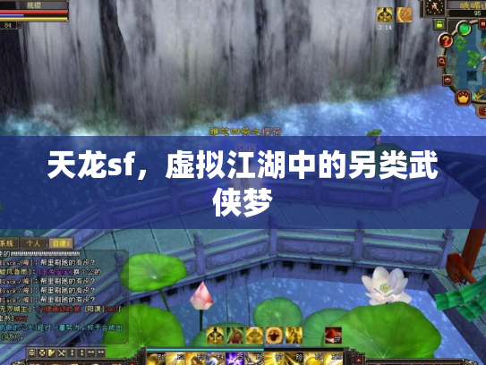 天龙sf，虚拟江湖中的另类武侠梦
