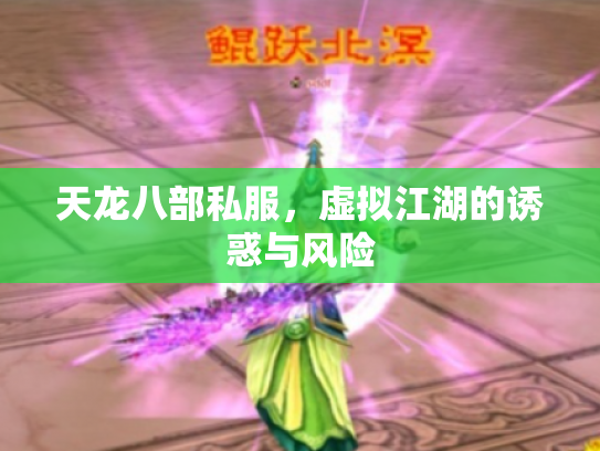 天龙八部私服，虚拟江湖的诱惑与风险
