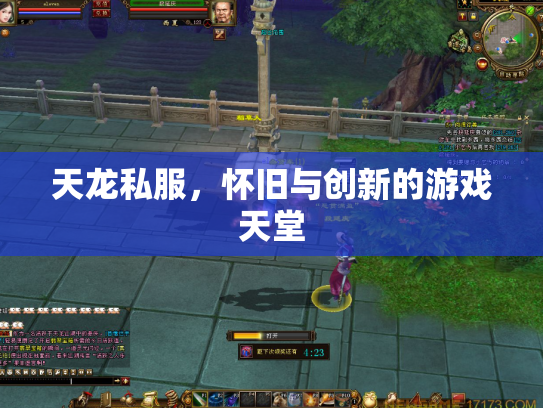 天龙私服，怀旧与创新的游戏天堂