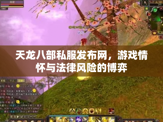 天龙八部私服发布网，游戏情怀与法律风险的博弈