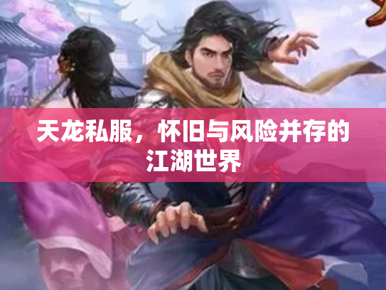 天龙私服，怀旧与风险并存的江湖世界