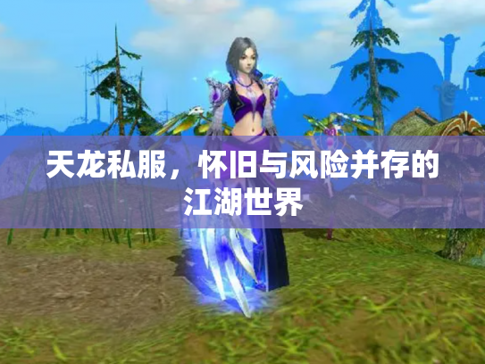 天龙私服，怀旧与风险并存的江湖世界