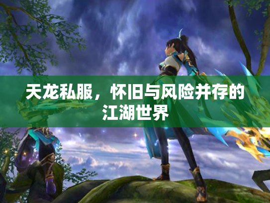 天龙私服，怀旧与风险并存的江湖世界