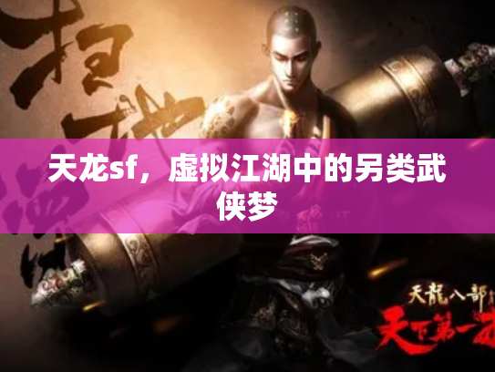 天龙sf，虚拟江湖中的另类武侠梦