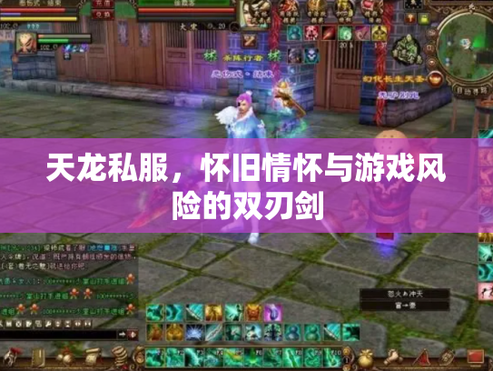 天龙私服，怀旧情怀与游戏风险的双刃剑