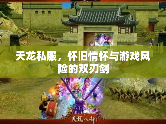 天龙私服，怀旧情怀与游戏风险的双刃剑