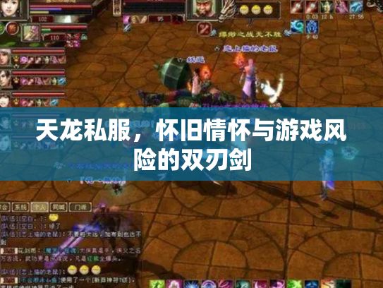 天龙私服，怀旧情怀与游戏风险的双刃剑