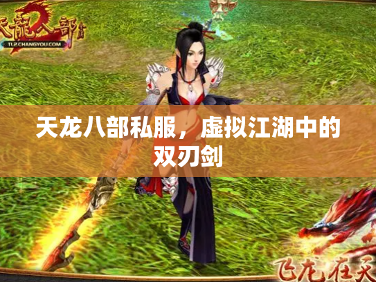 天龙八部私服，虚拟江湖中的双刃剑
