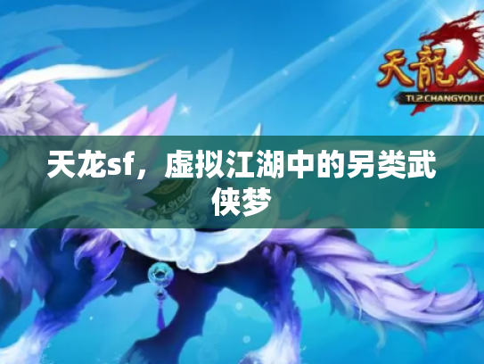 天龙sf，虚拟江湖中的另类武侠梦