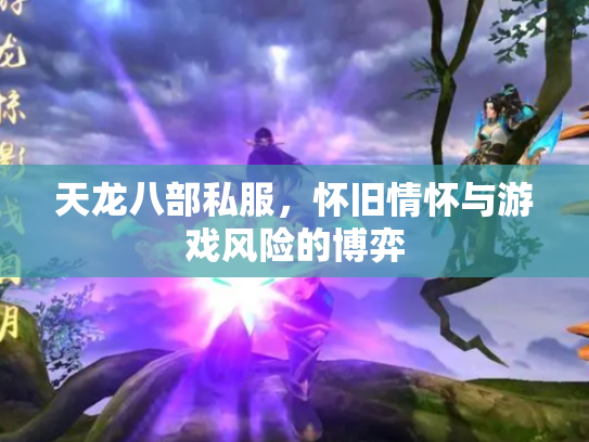 天龙八部私服，怀旧情怀与游戏风险的博弈