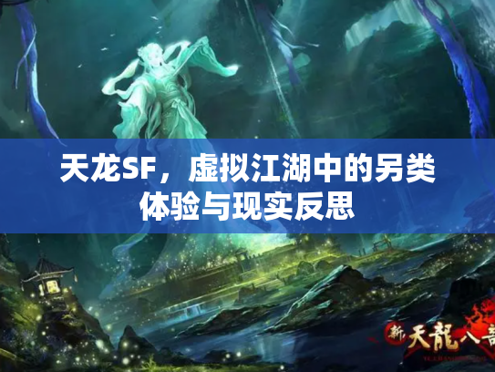 天龙SF，虚拟江湖中的另类体验与现实反思