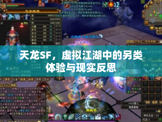 天龙SF，虚拟江湖中的另类体验与现实反思