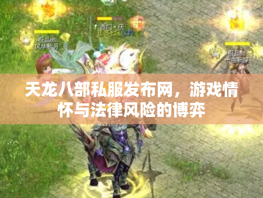 天龙八部私服发布网，游戏情怀与法律风险的博弈